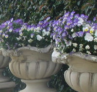 Gardenalia Open Garden and Rare Plant Nursery - Holiday Cairns