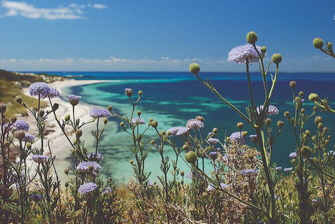 Rottnest Island Full-Day Trip With Guided Island Tour From Perth - Holiday Cairns 6