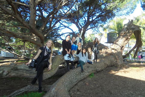 1/2 Day Swan Valley Wine Cheese & Chocolate Tour Inc Afternoon Cruise To Perth - Holiday Cairns 10