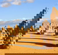 Pinnacles and Yanchep National Park Day Trip from Perth Including Lobster Shack Lunch and Sandboarding - Holiday Cairns