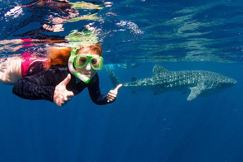 VIP Luxury Chartered Escapes, Exploring The Reef At Your Own Pace - Holiday Cairns 20