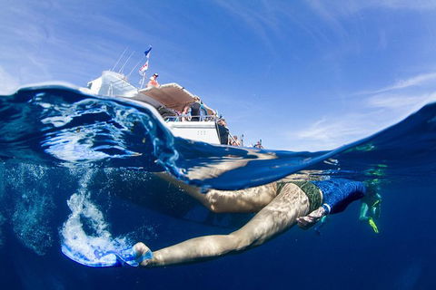 VIP Luxury Chartered Escapes, Exploring The Reef At Your Own Pace - Holiday Cairns 40
