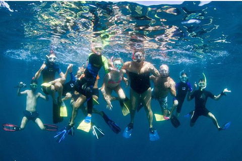 VIP Luxury Chartered Escapes, Exploring The Reef At Your Own Pace - Holiday Cairns 13