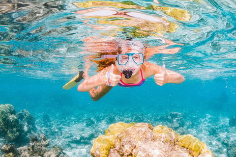 VIP Luxury Chartered Escapes, Exploring The Reef At Your Own Pace - Holiday Cairns 48