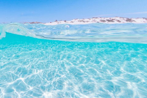 VIP Luxury Chartered Escapes, Exploring The Reef At Your Own Pace - Holiday Cairns 39