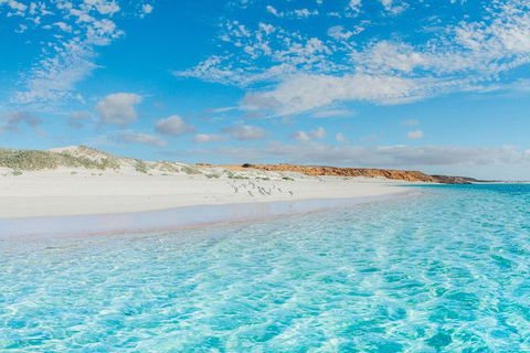 VIP Luxury Chartered Escapes, Exploring The Reef At Your Own Pace - Holiday Cairns 36