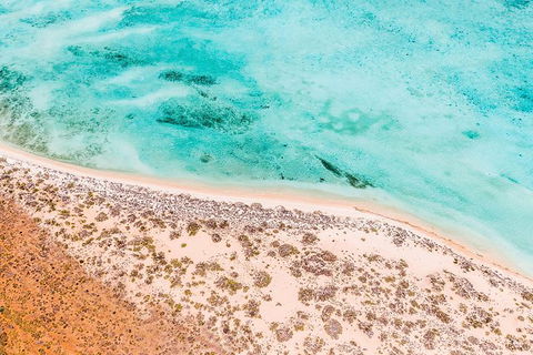 VIP Luxury Chartered Escapes, Exploring The Reef At Your Own Pace - Holiday Cairns 4