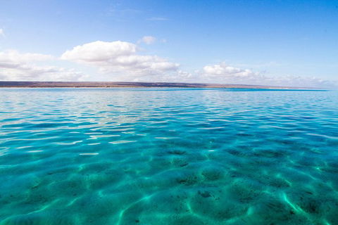 VIP Luxury Chartered Escapes, Exploring The Reef At Your Own Pace - Holiday Cairns 32