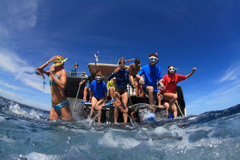 VIP Luxury Chartered Escapes, Exploring The Reef At Your Own Pace - Holiday Cairns 17