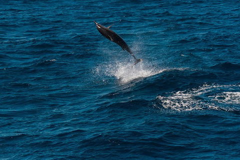 VIP Luxury Chartered Escapes, Exploring The Reef At Your Own Pace - Holiday Cairns 42