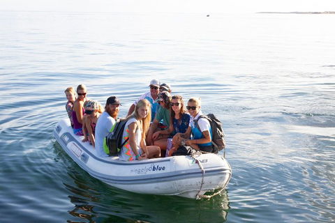 VIP Luxury Chartered Escapes, Exploring The Reef At Your Own Pace - Holiday Cairns 43