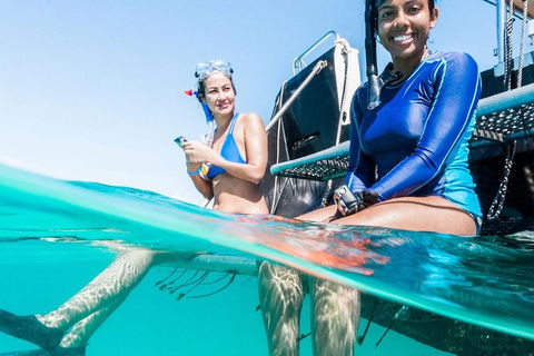 VIP Luxury Chartered Escapes, Exploring The Reef At Your Own Pace - Holiday Cairns 24