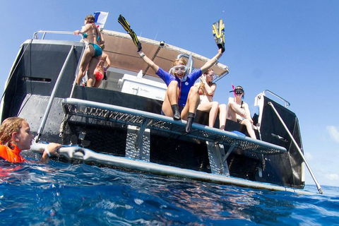 VIP Luxury Chartered Escapes, Exploring The Reef At Your Own Pace - Holiday Cairns 25