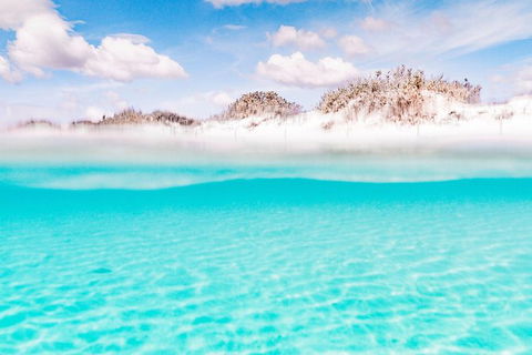 VIP Luxury Chartered Escapes, Exploring The Reef At Your Own Pace - Holiday Cairns 10