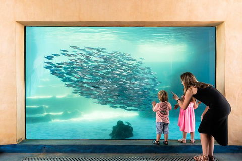 AQWA The Aquarium Of Western Australia: General Admission - Holiday Cairns 0