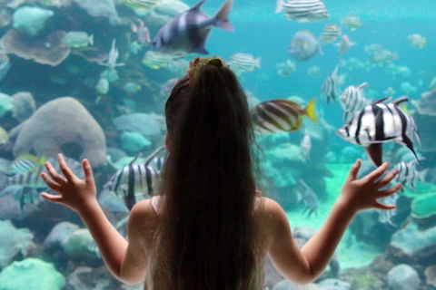 AQWA The Aquarium Of Western Australia: General Admission - Holiday Cairns 1