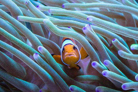 AQWA The Aquarium Of Western Australia: General Admission - Holiday Cairns 4
