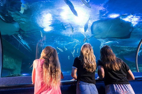 AQWA The Aquarium Of Western Australia: General Admission - Holiday Cairns 7