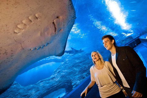 AQWA The Aquarium Of Western Australia: General Admission - Holiday Cairns 6