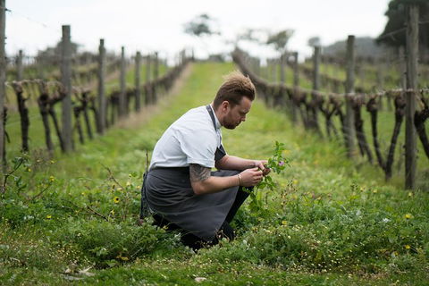 Vasse Felix Epicurean Tour And Tasting Experience With 5 Course Lunch - Holiday Cairns 9