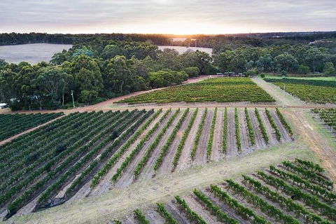 Vasse Felix Epicurean Tour And Tasting Experience With 5 Course Lunch - Holiday Cairns 7