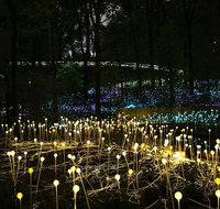 National Anzac Centre Field of Light Panorama Pass - Holiday Cairns