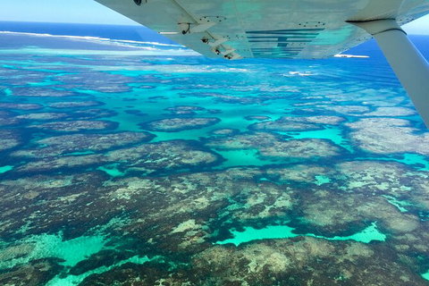 Kalbarri, Pink Lake And Abrolhos Islands Nature Tour - Holiday Cairns 5