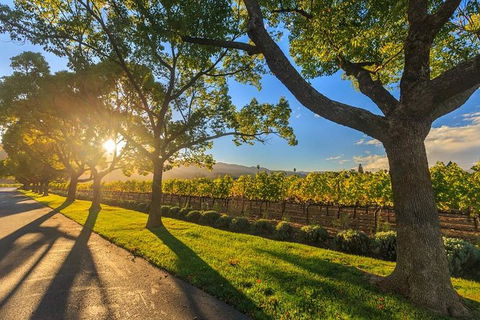 VIP Swan Valley Wine Tour - Premium Small Group Wine & Gourmet Experience - Holiday Cairns 1