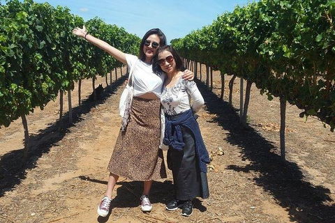 VIP Swan Valley Wine Tour - Premium Small Group Wine & Gourmet Experience - Holiday Cairns 3
