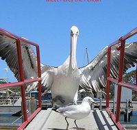 Albany Wildlife and Scenic Cruise - Holiday Cairns