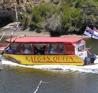 Kalgan Queen Scenic Cruises a four hour sheltered water wildlife tour daily fun. - Holiday Cairns