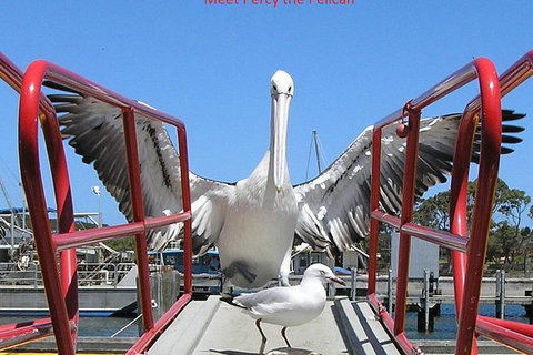 Kalgan Queen Scenic Cruises A Four Hour Sheltered Water Wildlife Tour Daily Fun. - Holiday Cairns 4