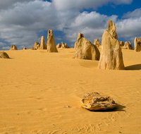The Pinnacles Sea and Dunescapes Bush Reserve and Sunset Day Tour - Holiday Cairns