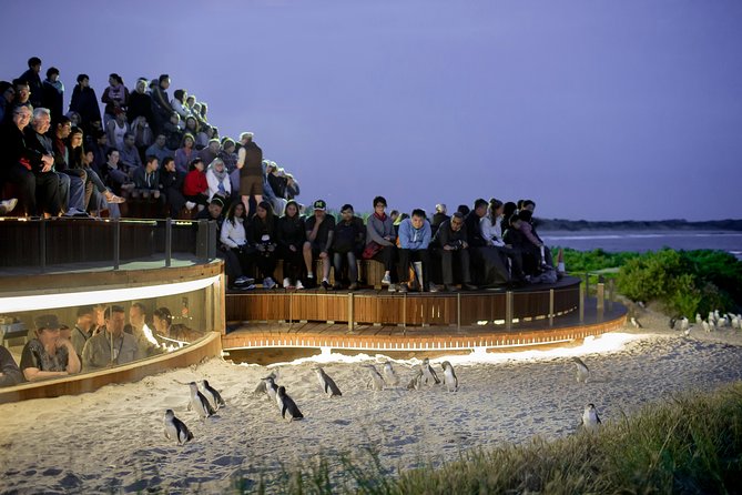 Phillip Island VIC Holiday Cairns