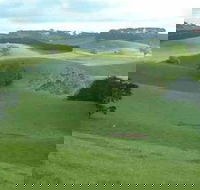 Day Tour of Phillip Island  Surrounding Region - Holiday Cairns