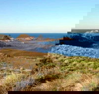 Phillip Island Walking  Bird Watching Tour - Holiday Cairns