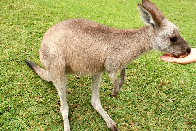 Summerlands VIC Holiday Cairns