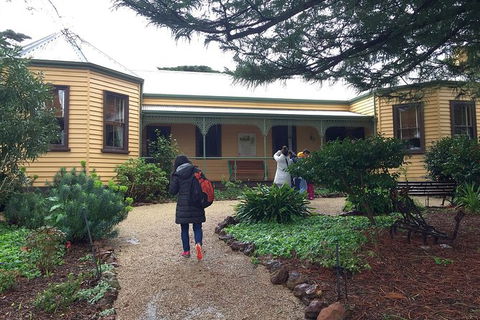 Day Tour Of Phillip Island Nature Parks & Penguins - Holiday Cairns 7