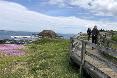 Day Tour Of Phillip Island Nature Parks & Penguins - Holiday Cairns 10