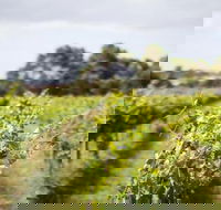 Phillip Island Wine Experience Tour - Holiday Cairns