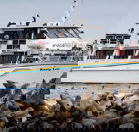 Phillip Island Seal-Watching Cruise - Holiday Cairns