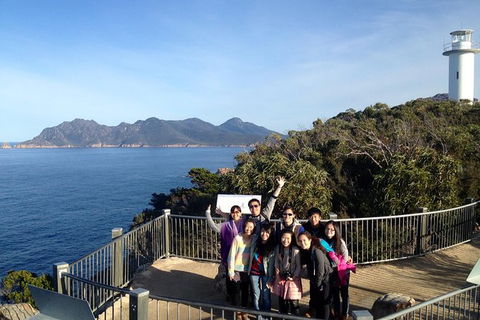 Wineglass Bay And Freycinet National Park Active Day Trip From Hobart - Holiday Cairns 1