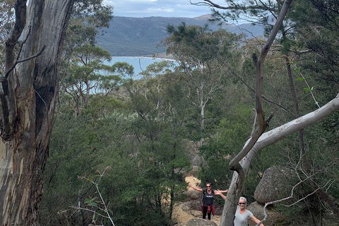 Wineglass Bay And Freycinet National Park Active Day Trip From Hobart - Holiday Cairns 14