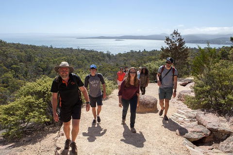 Wineglass Bay And Freycinet National Park Active Day Trip From Hobart - Holiday Cairns 26