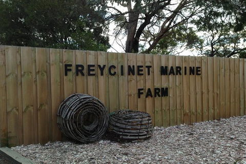 Wineglass Bay And Freycinet National Park Active Day Trip From Hobart - Holiday Cairns 20
