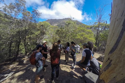 Wineglass Bay And Freycinet National Park Active Day Trip From Hobart - Holiday Cairns 9