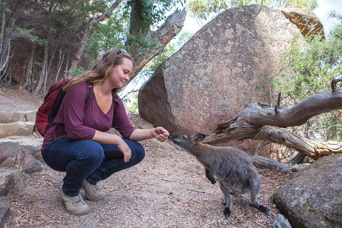 Wineglass Bay And Freycinet National Park Active Day Trip From Hobart - Holiday Cairns 31