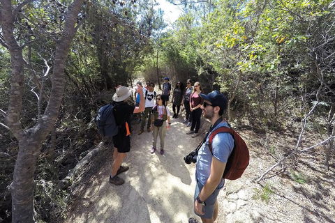 Wineglass Bay And Freycinet National Park Active Day Trip From Hobart - Holiday Cairns 19