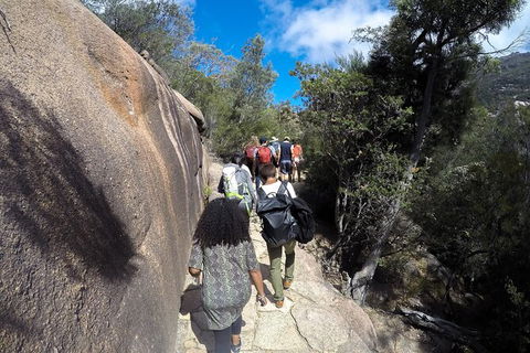 Wineglass Bay And Freycinet National Park Active Day Trip From Hobart - Holiday Cairns 21