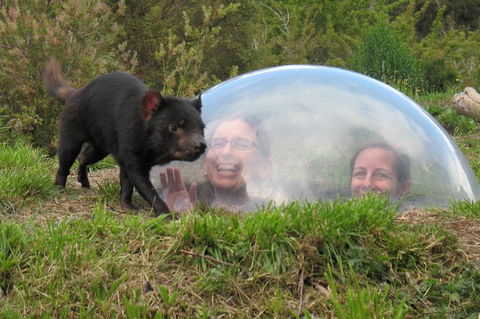 Small-Group Tour From Hobart: Tasmania Convict Trail And Port Arthur Day Trip - Holiday Cairns 3